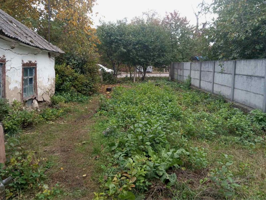 Земельна ділянка