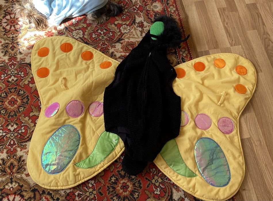 Для школярів/ костюм метелика