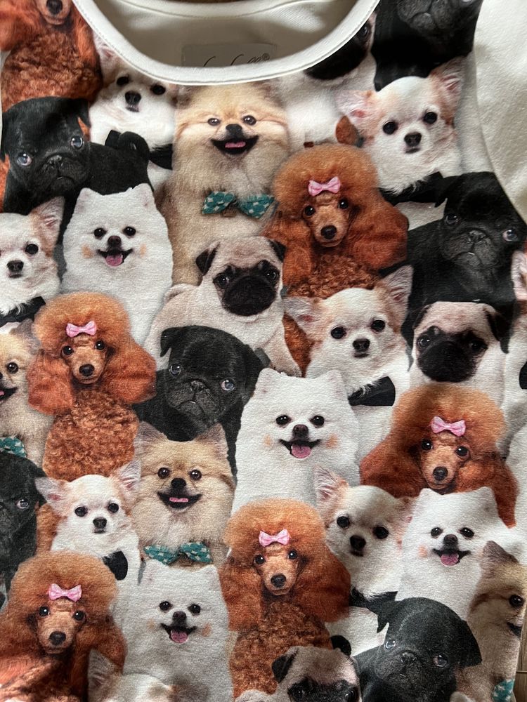 Sukienka pieski pies Chihuahua  pomeranian mops 134 - 140