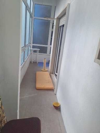 Vendo apartamento T2 remodelado Rio de Mouro com  Usufruto Vitalício