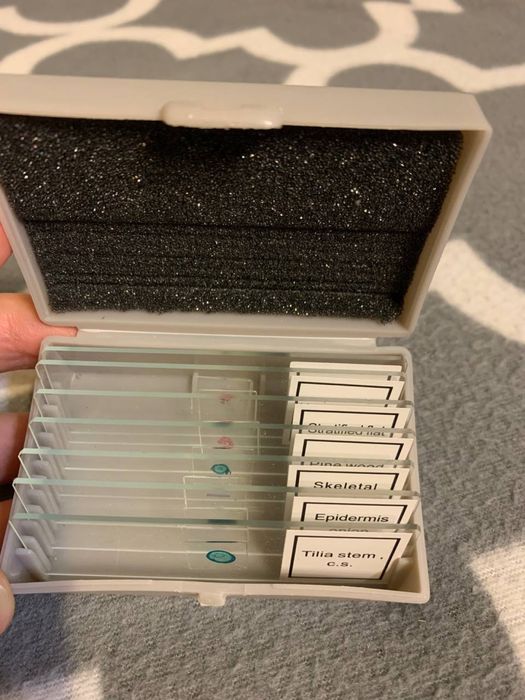 Микроскоп, Celestron, LCD Deluxe Digital Microscope 3.5” screen #44345