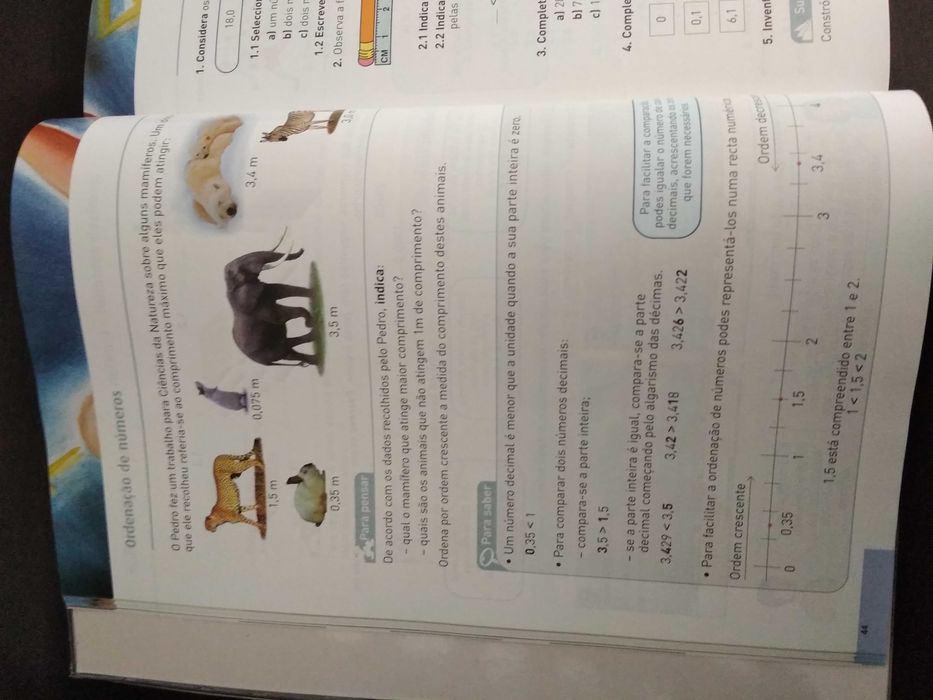 Matemática 5.º ano - Números e companhia