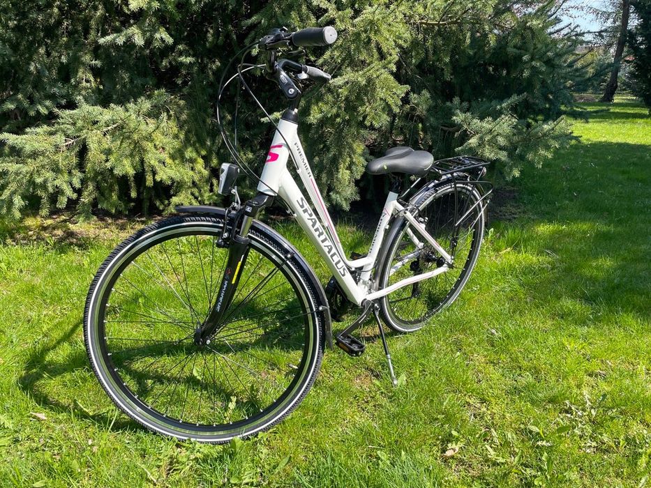 Rower Spartacus Premier 3.0 17 28"