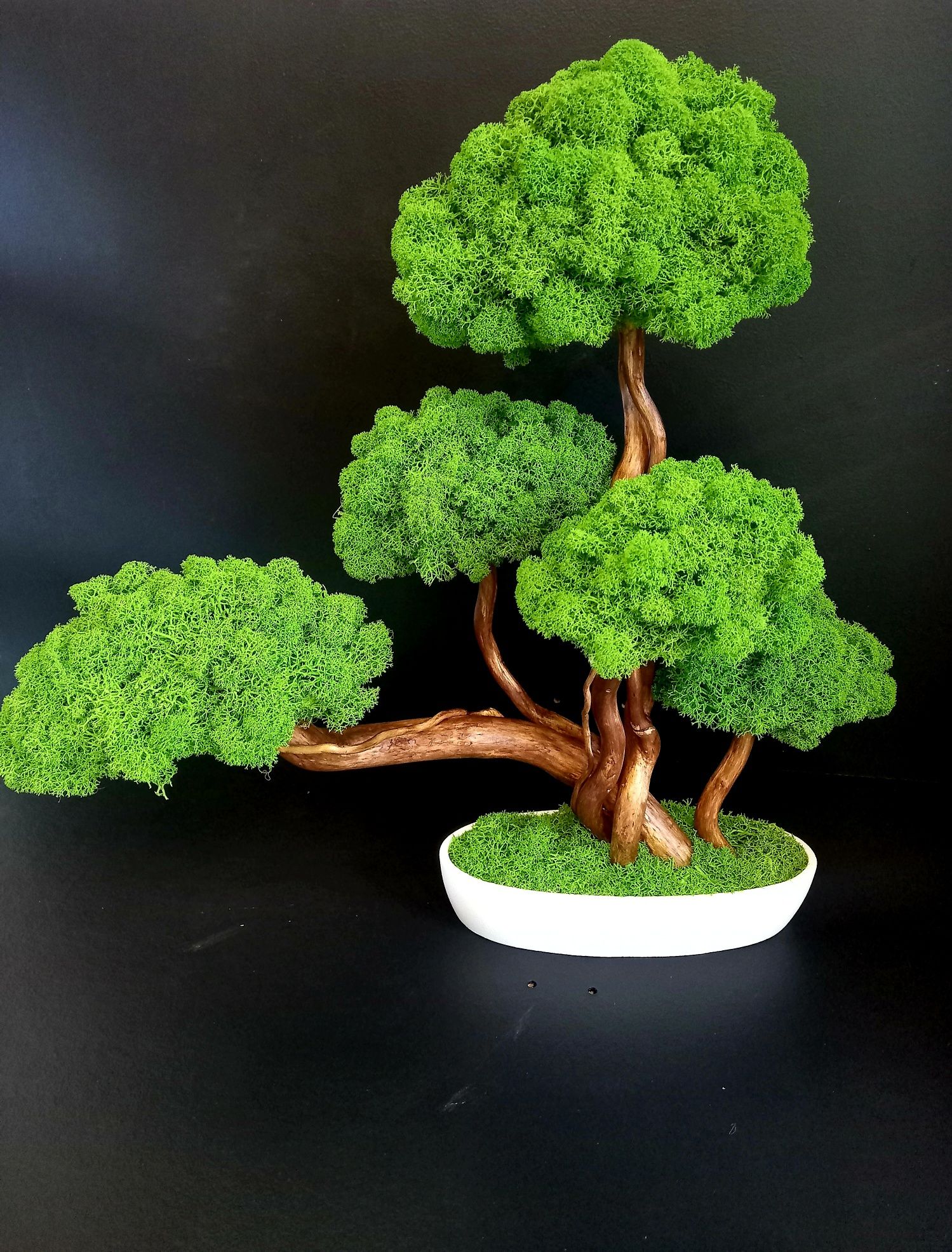 Drzewko bonsai z mchem chrobotkiem.Mech. Prezent. Dekoracje wnętrz.