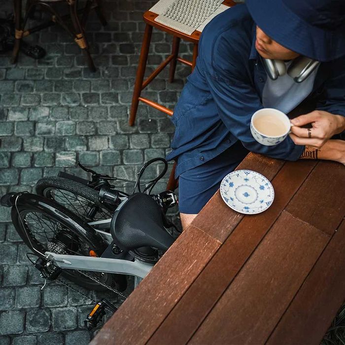 Składany rower elektryczny Fiido D11 36V 11,6AH 250W 19,5kg Gwarancja