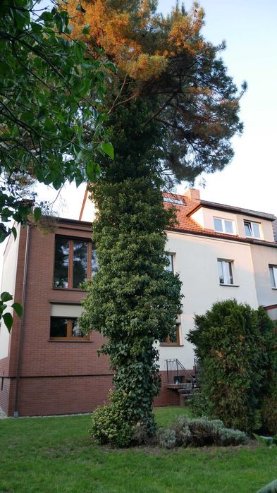 Sprzedam dom Gliwice