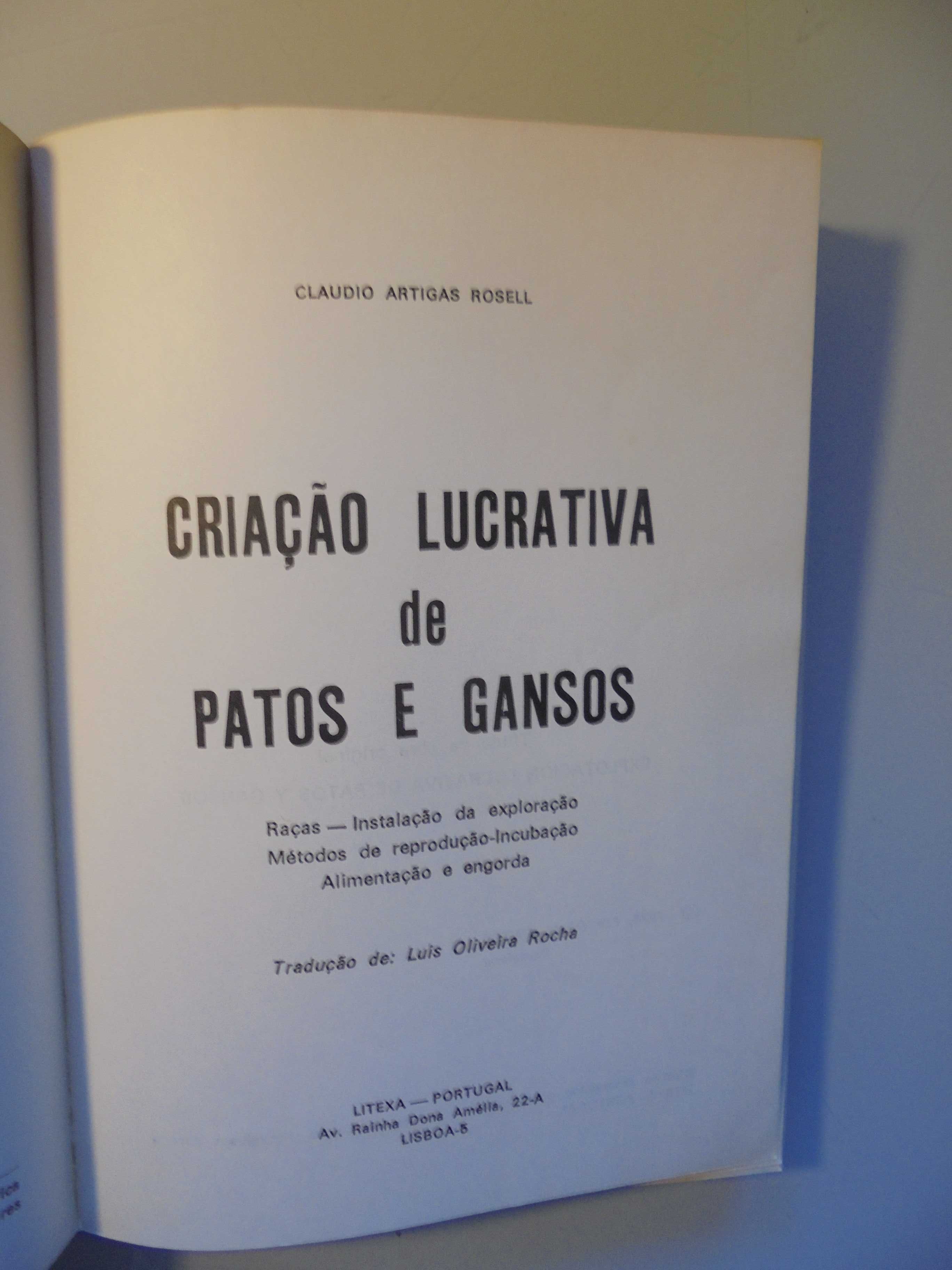 Rosel (Claudio Artigas);Patos e Gansos