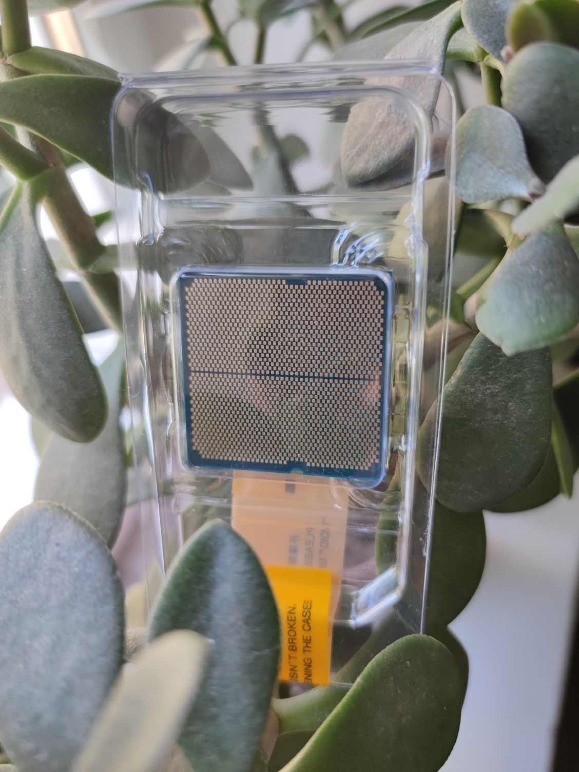 AMD Ryzen 5 9600X Новий