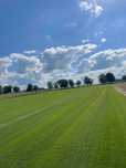 Trawa Z Rolki / PRODUCENT / Transport