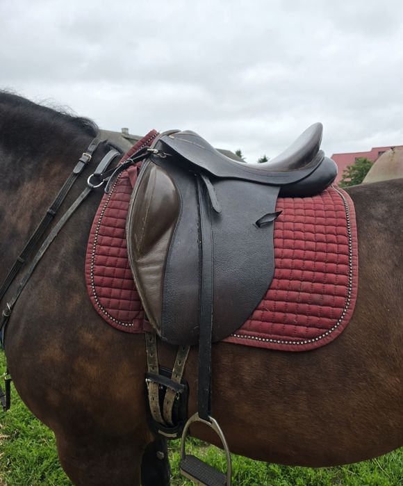 Sprzedam siodło ujeżdżeniowe