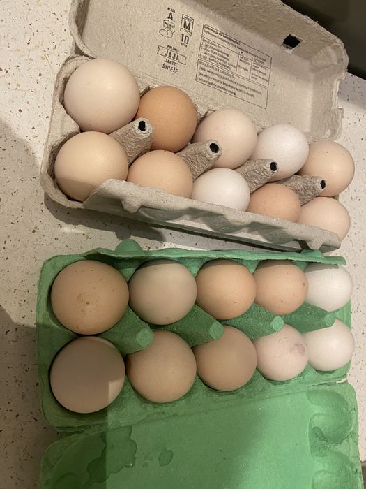 Jajka wiejskie świeże  z domowej hodowli-RUCZAJ