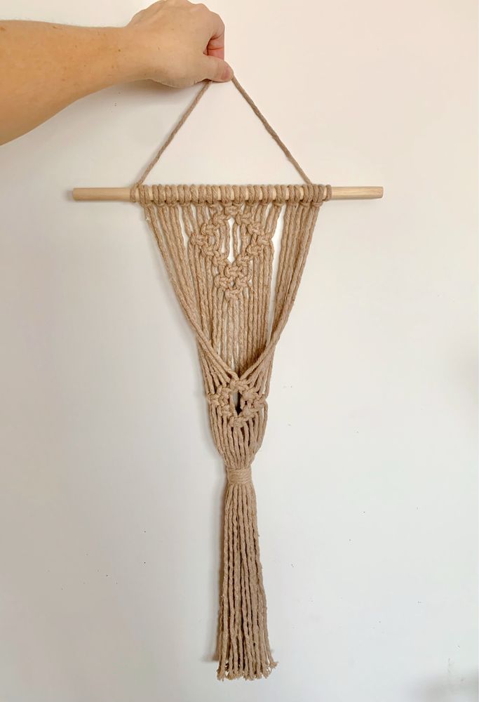 Uma planta pode decorar uma parede