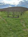 Vendo terreno com plantação de vinhas e amendoal - Muxagata