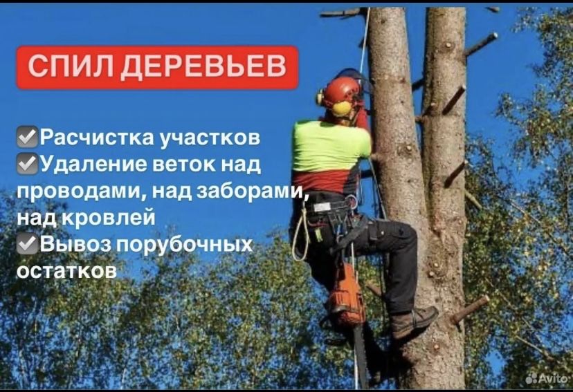 Спилить Дерево, Спиляти ДЕРЕВО, Зрізати ДеРево,Санітарна обрізка Дерев