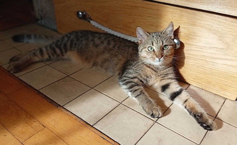 Agatek szuka Człowieka na zawsze - pomożesz :) ?