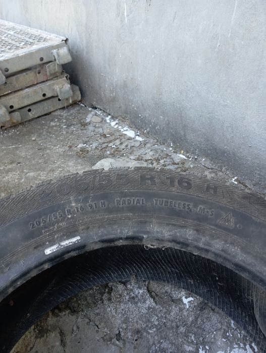 Подарую Barum polaris 3 205 55 16