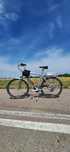 Rower elektryczny "Trek"