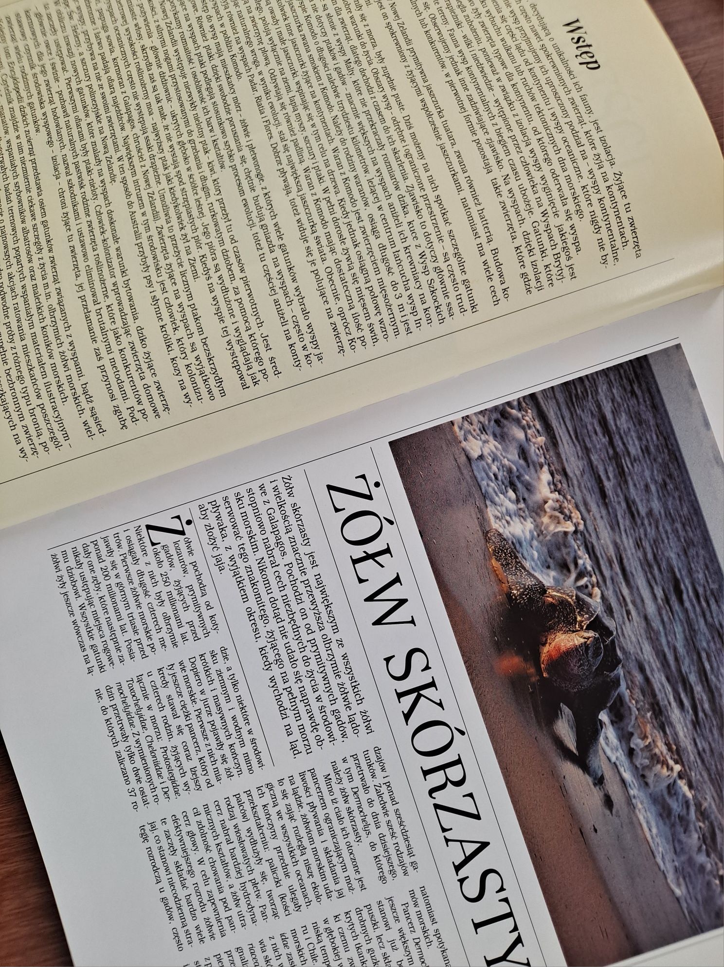Encyklopedia Dzikich Zwierząt/Wyspy