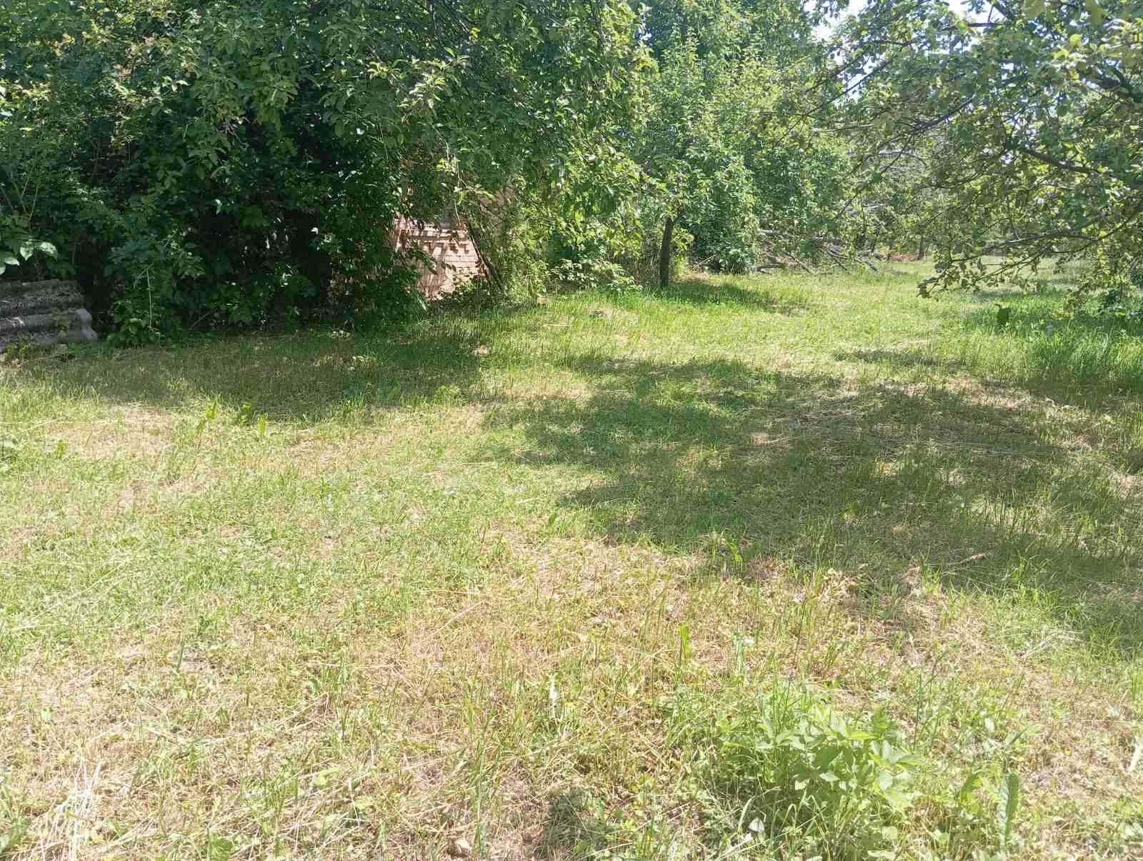 (3) Продам земельну дялнку в с. Щітки 0756