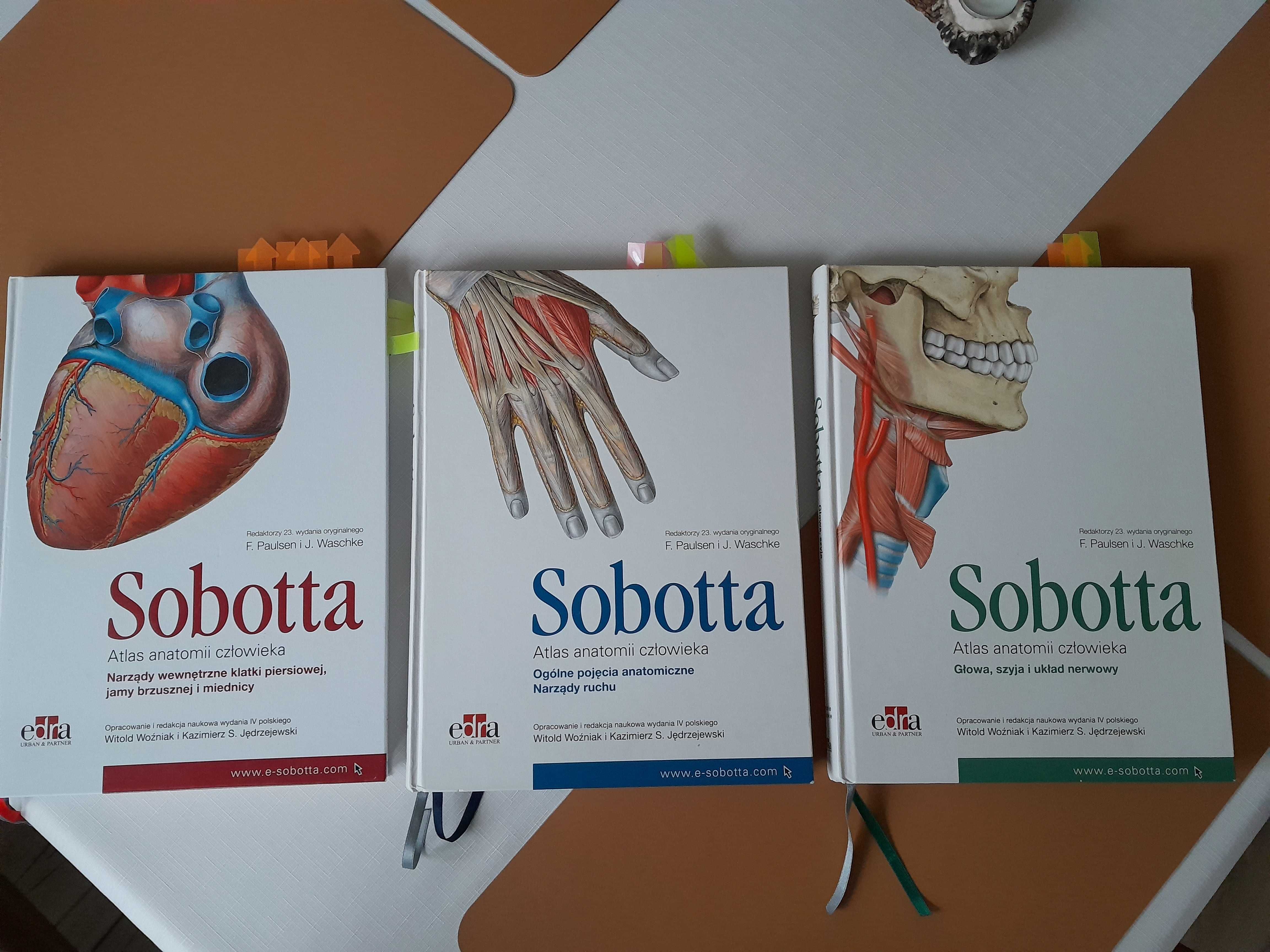 Sobotta. Atlas anatomii człowieka - 3 części