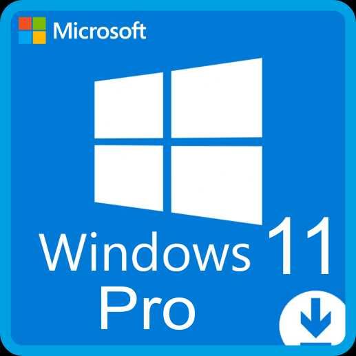 Windows 11 Pro Key License
