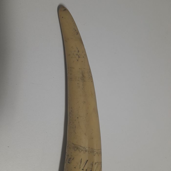 Presa Marfinite (com inscrições)