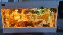 Terrarium wraz z zestawem żarówek i wyposażenia 92x52x40cm