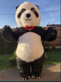 Miś Panda. Panda Mika 250cm wysokość do wynajęcia. Animator Prezent