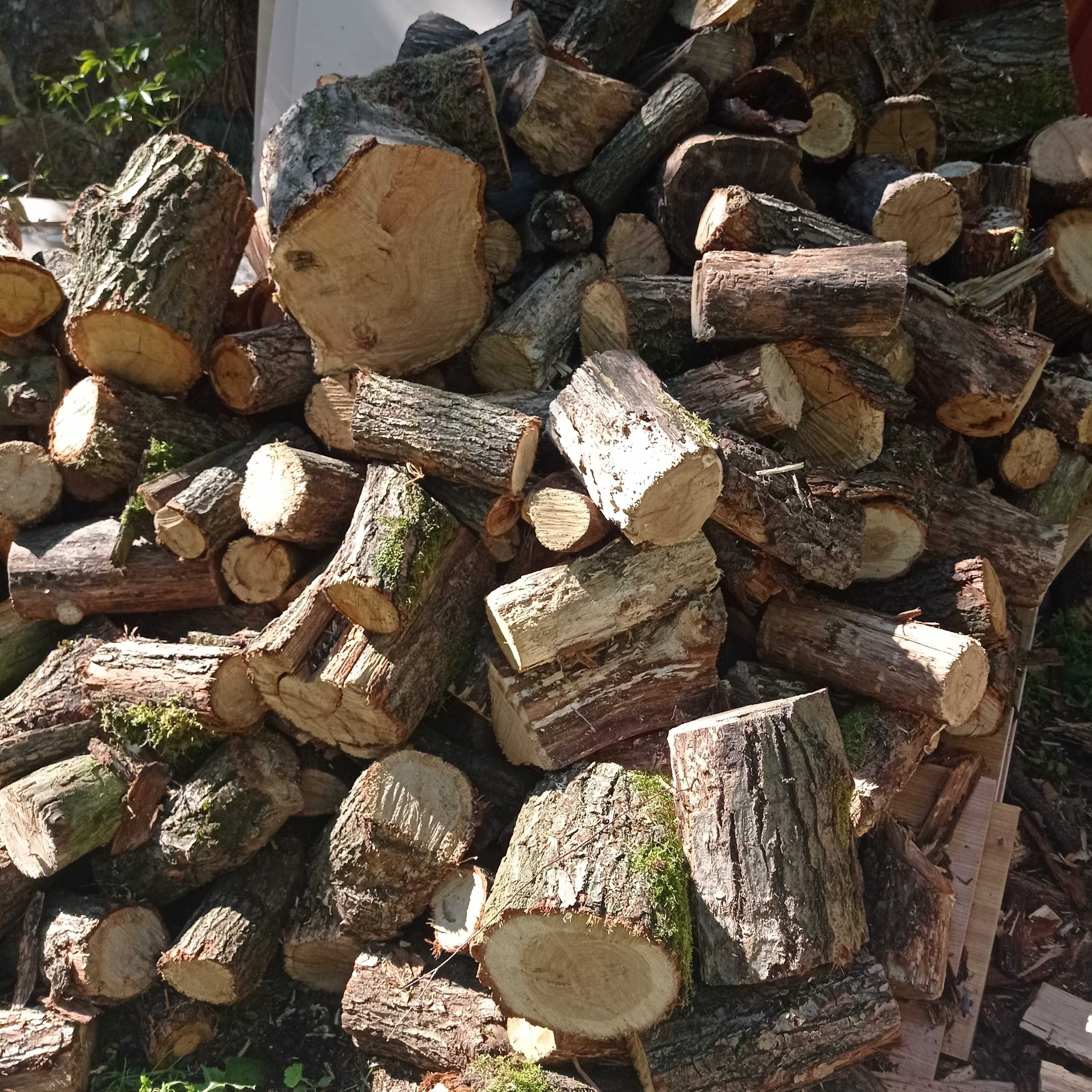 Drewno kominkowe dębowe sezonowane workowane