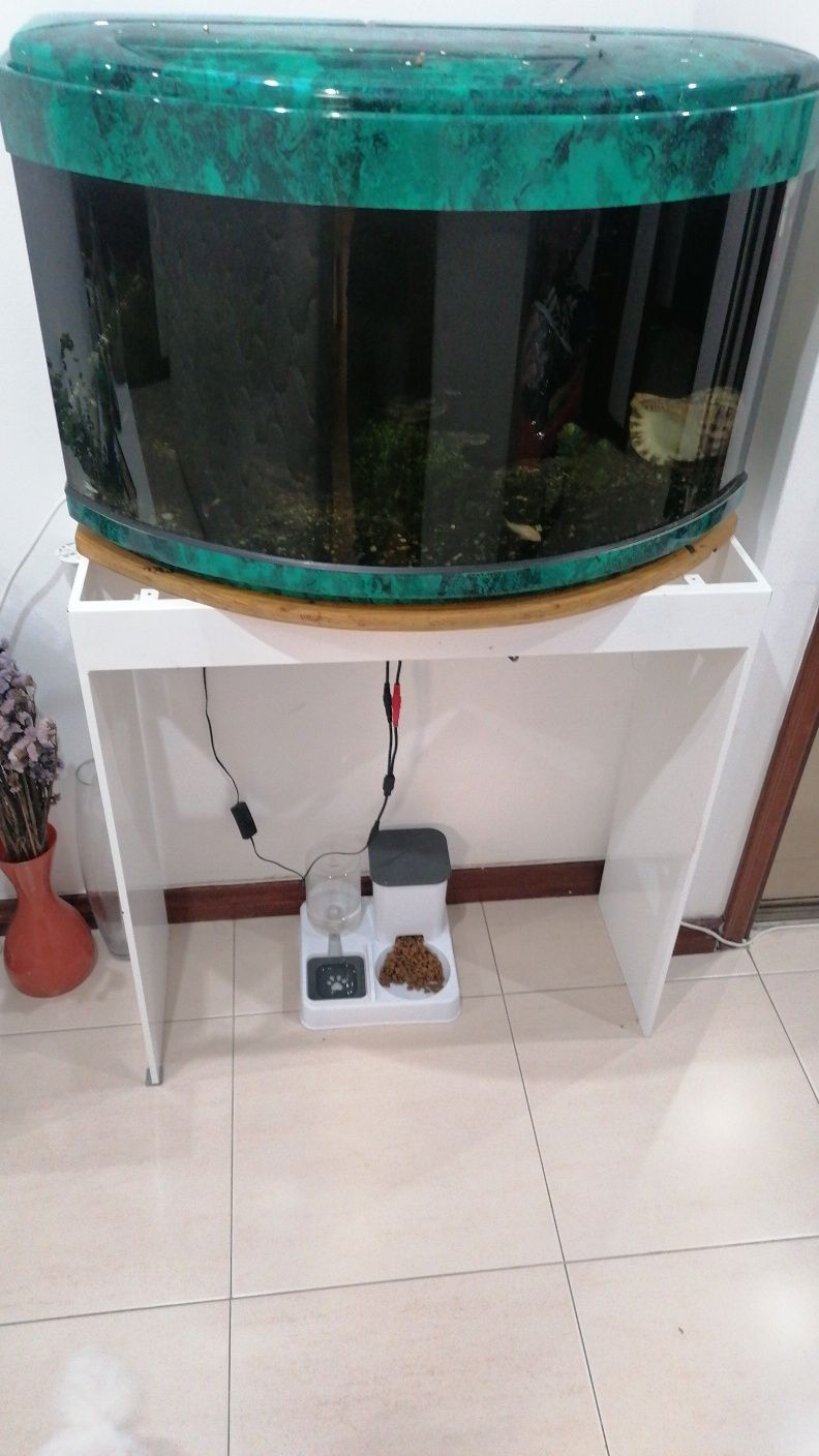 Aquário amazônico80 litros