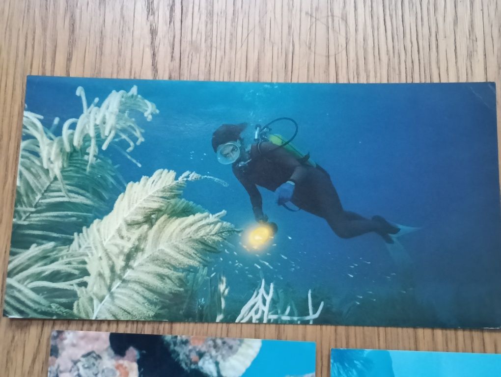 Bela coleção, imagens Sub- aquáticas+ 1 diverso
