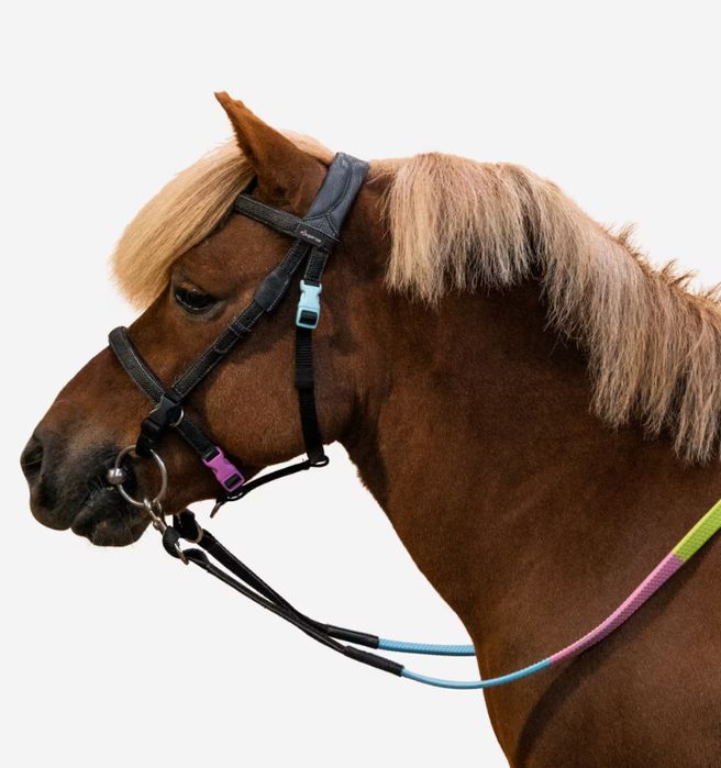 Ogłowie dla kucyka PS Foguanza