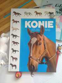 Konie, atlas ras