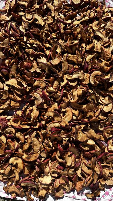 Сушка яблука (слава победителю сорт)