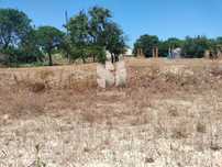 Terreno Urb. no Faralhão - Setúbal