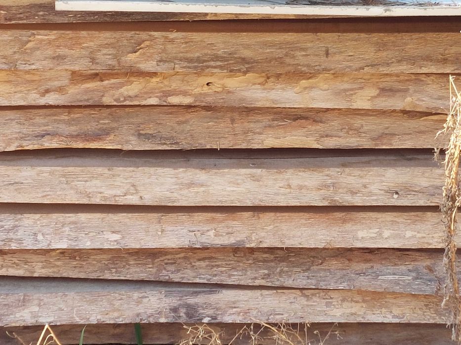 Sprzedam monolity dębowe