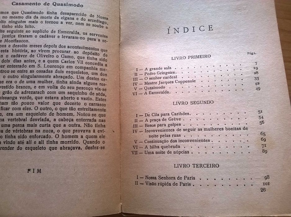 Nossa Senhora de Paris - Victor Hugo