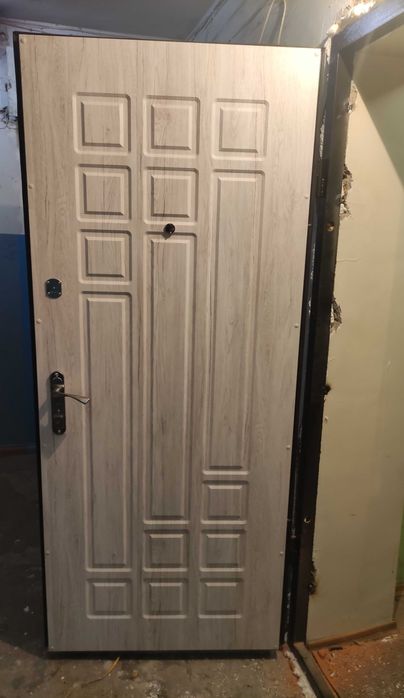 Вхідні металеві двері .