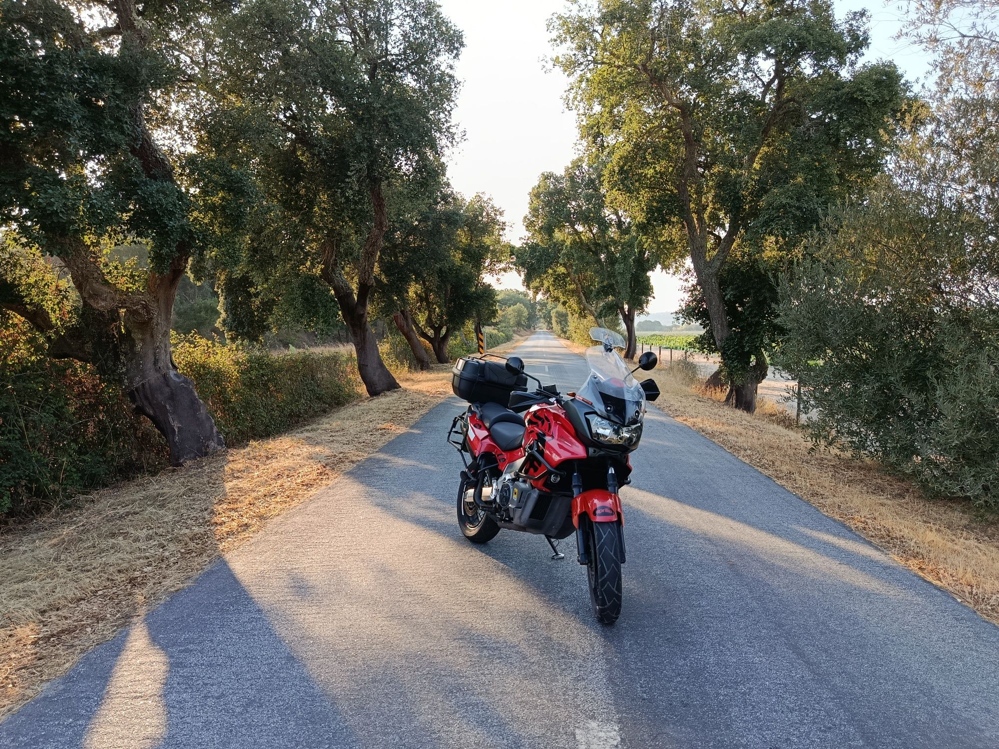 Aprilia caponord etv 1000