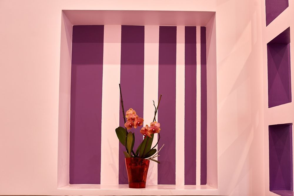 Площа Ринок 0 хв. Центр. реальна ціна Реберня, Криївка, Федорова29