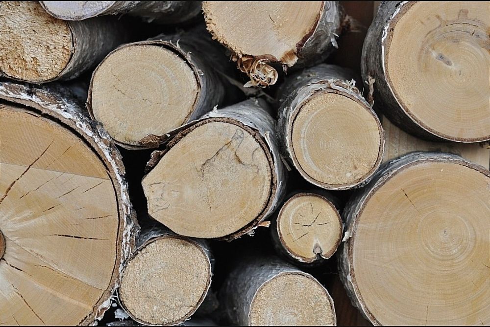 Suche połupane sezonowane drewno drzewo opałowe kominka kominkowe
