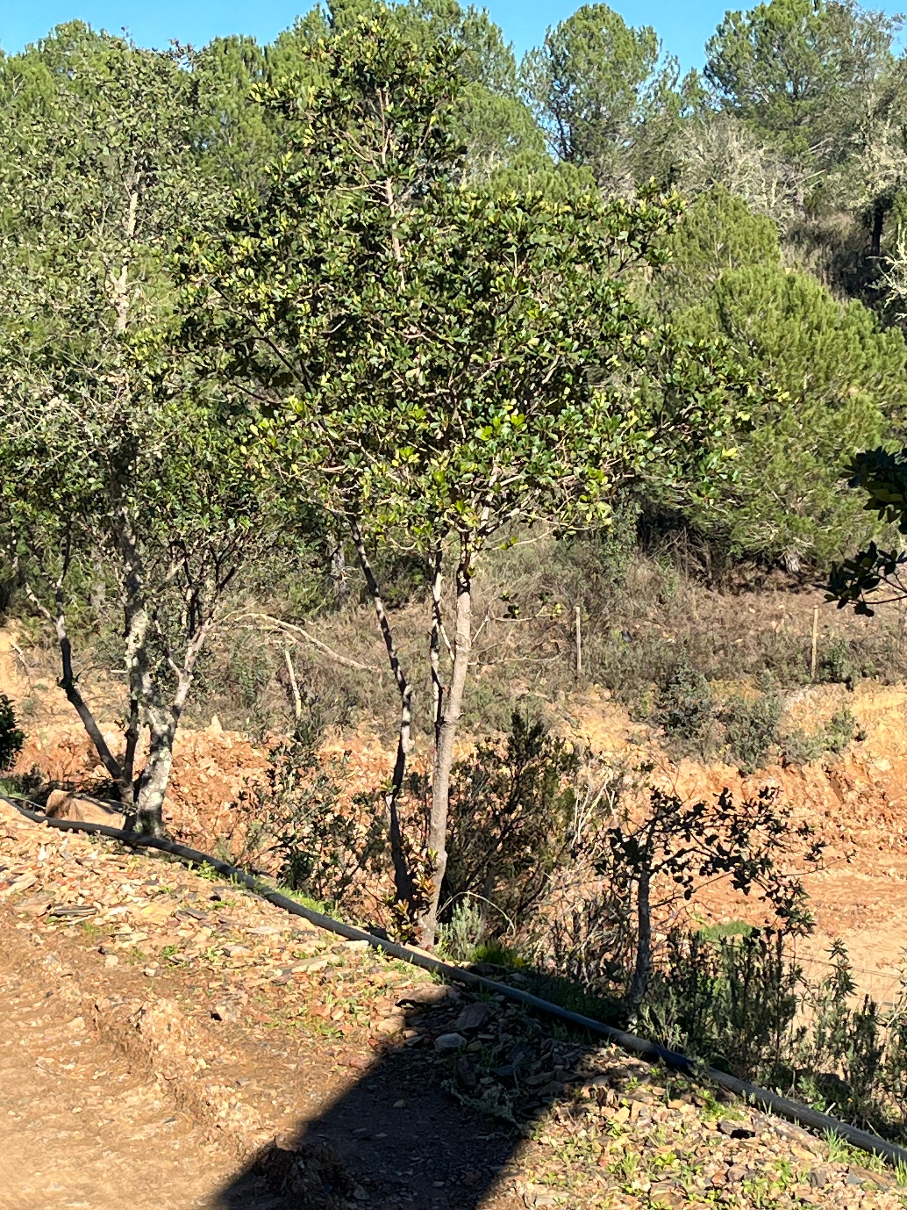 Moradia junto à barragem
