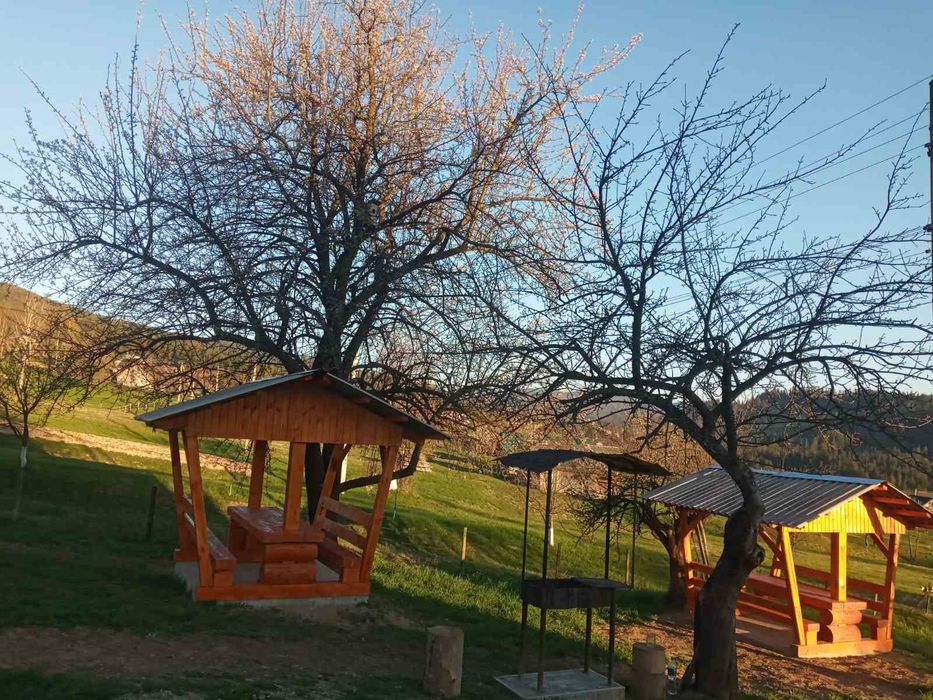 Вільно на Новий рік .Відпочинок у Карпатах. Здається будинок подобовоМ