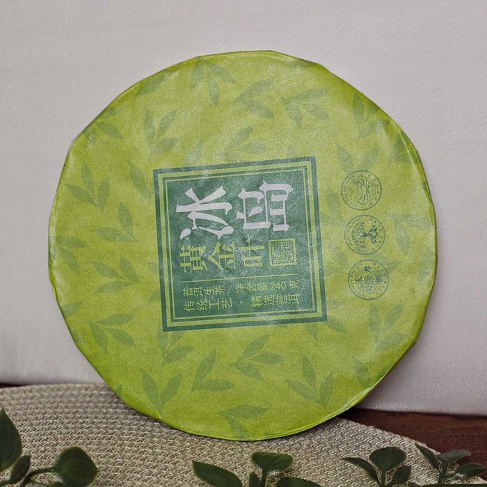 Чай Шен пуер 2024р 》Ісландське сусальне золото 240г《 від Сонде