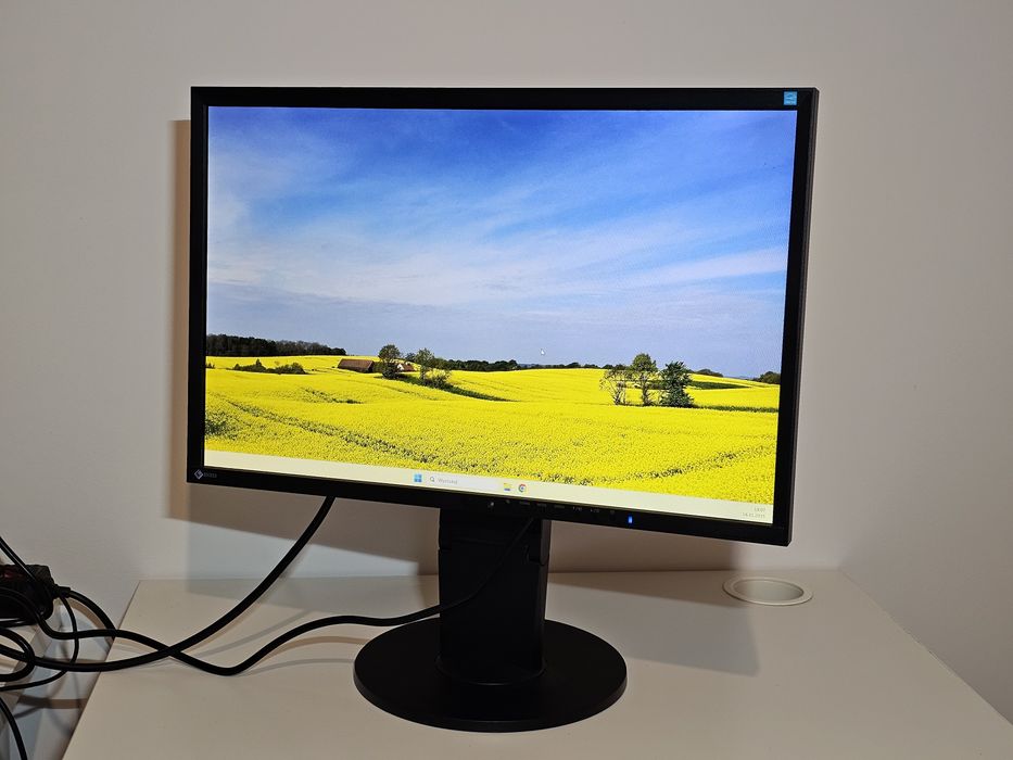 Monitor EIZO Japan FlexScan EV2216W 22 cale VGA DisplayPort DVI