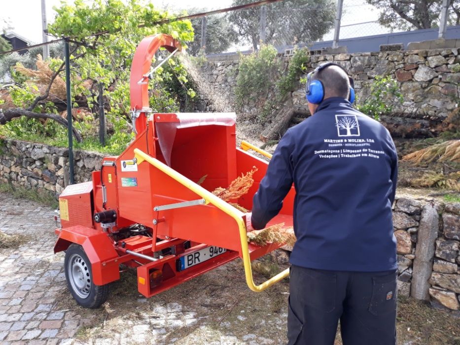 Desmatagem, Limpeza de Terrenos, Olivais e Vinhas