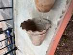 Vaso Antigo Parede