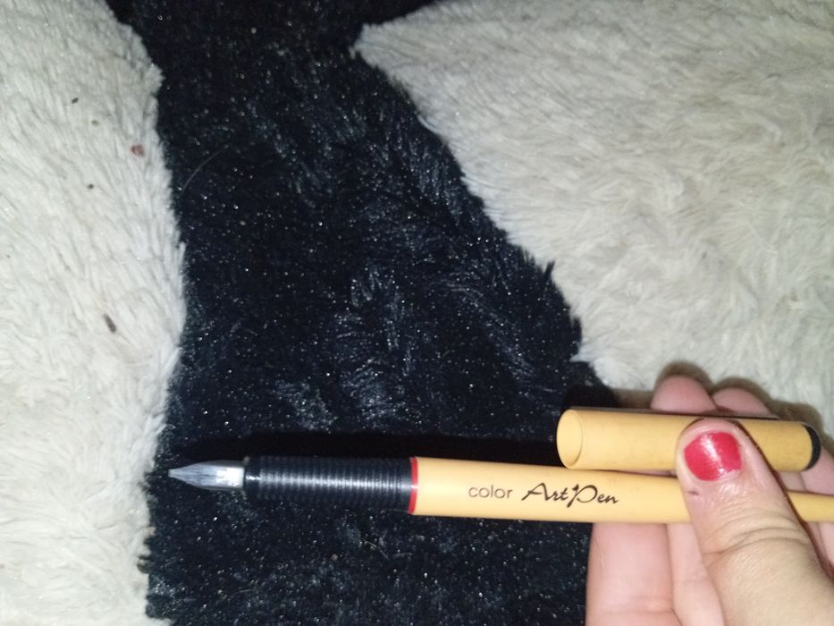 Caneta antiga sem tinta