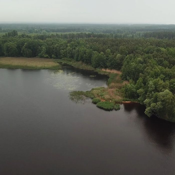Ділянка 1.7 ГА з виходом в Київське море, Толокунь, ліс, фарватер