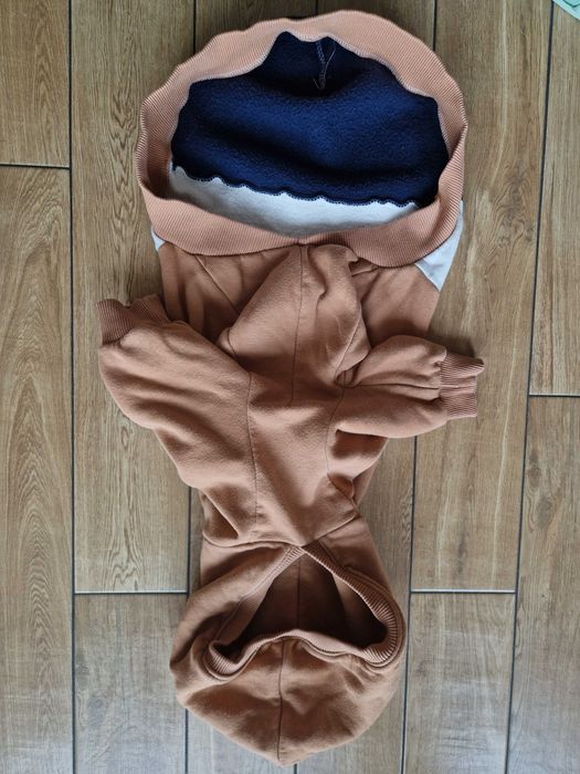 Whippet bluza z kapturem